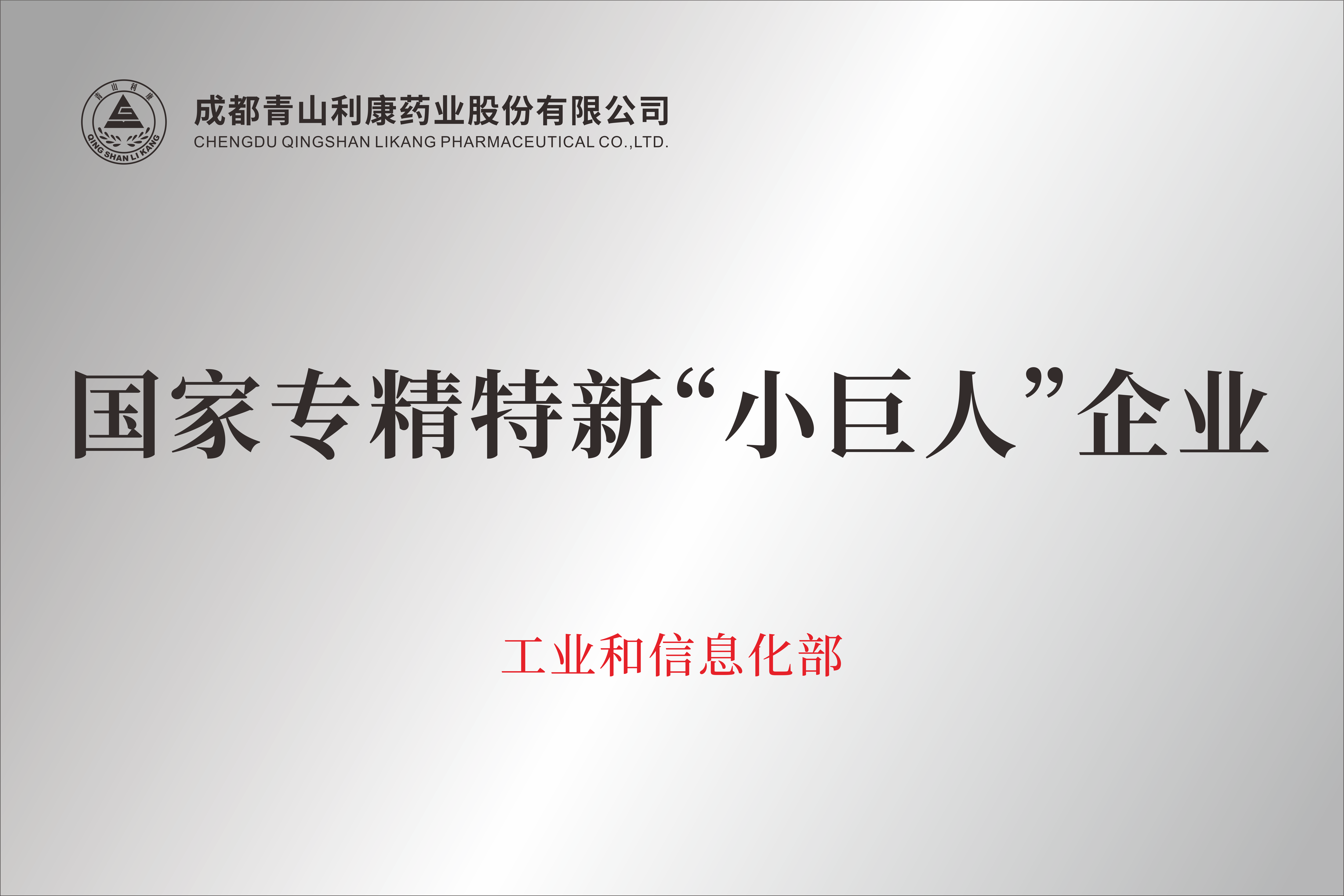 國家專精特新“小巨人”企業(yè)